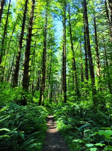 environnement naturel chambord