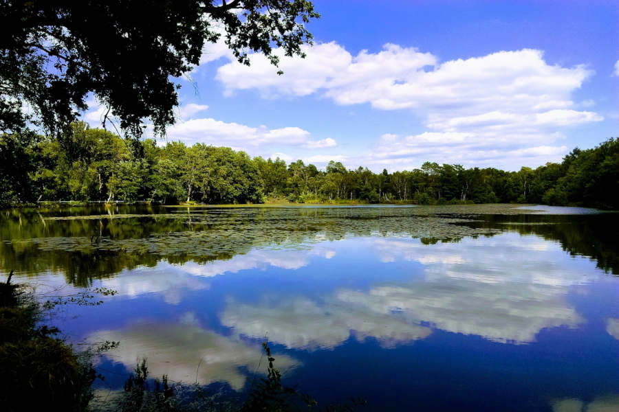 vermietung camping sologne