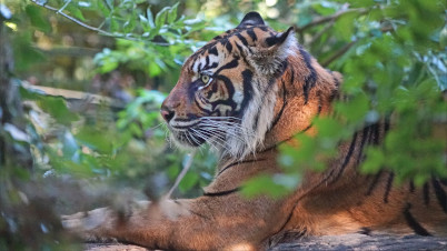 location proche zoo beauval