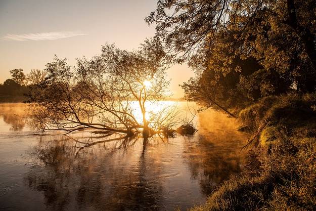 natuurlijke omgeving aan de rand van de Loire
