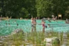 baignade lac chambord