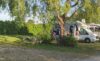 emplacement camping Chambord semi-ombragé nature