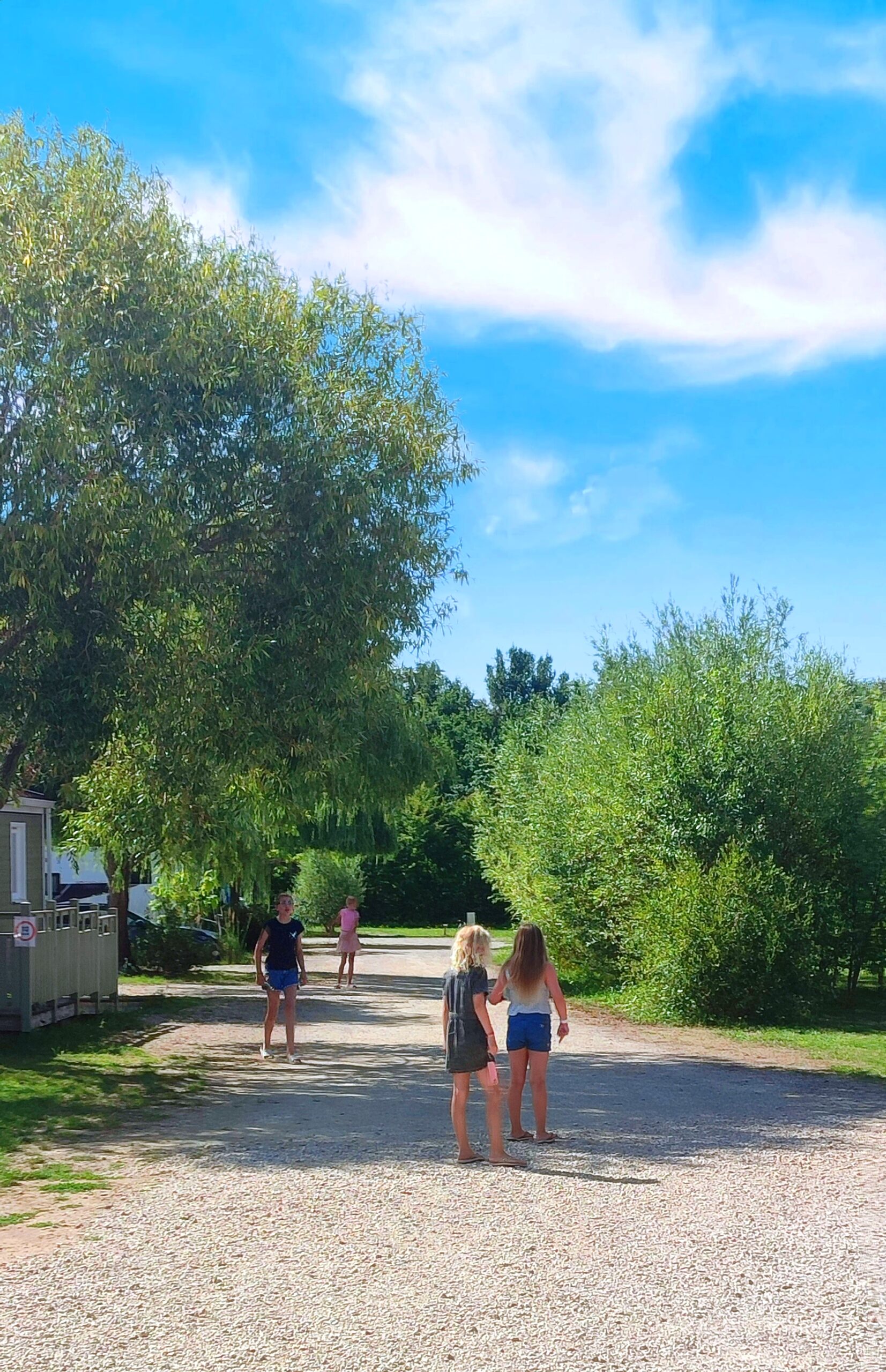 IMG 20250803 203507 (2)