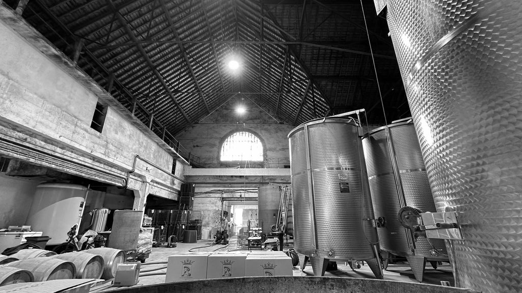 818997_chai-1-noir-et-blanc-la-cave-cooperative-des-vignerons-de-mont-pres-chambord_1024x1024 818997 chai 1 noir et blanc la cave cooperative des vignerons de mont pres chambord 1024x1024